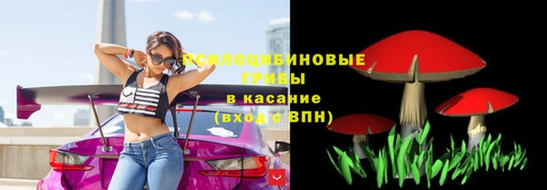 трава Алзамай